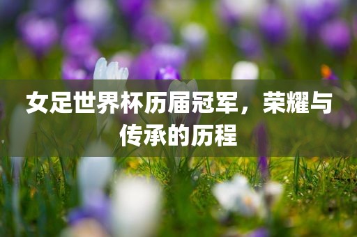 女足世界杯历届冠军，荣耀与传承的历程