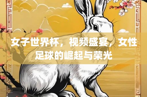 女子世界杯，视频盛宴，眉山市正发家政服务有限公司女性足球的崛起与荣光