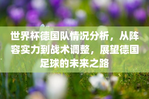 世界杯德国队情况分析，从阵容实力到战术调整，展望德国足球的未来之路