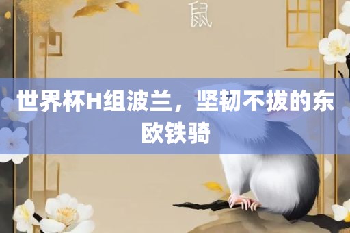 世界杯H组波兰，坚韧不拔的东欧铁骑