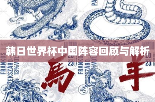 韩日世界杯中国阵容回顾与解析