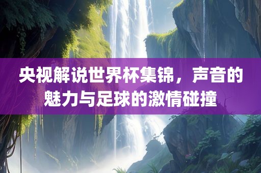 央视解说世界杯集锦，声音的魅力与足球的激情碰撞