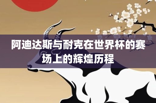阿迪达斯与耐克在世界杯的赛场上的辉煌历程