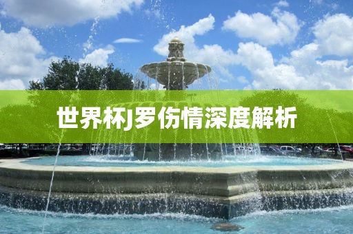 世界杯J罗伤情深度解析