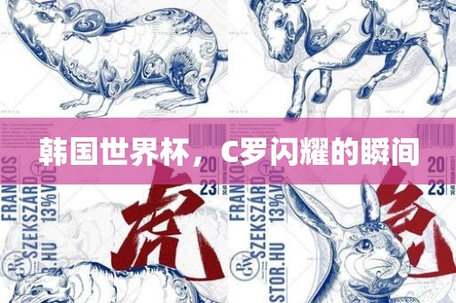 韩国世界杯，C罗闪耀的瞬间