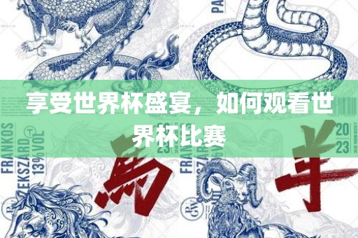 享受世界杯盛宴，如何观看世界杯比赛