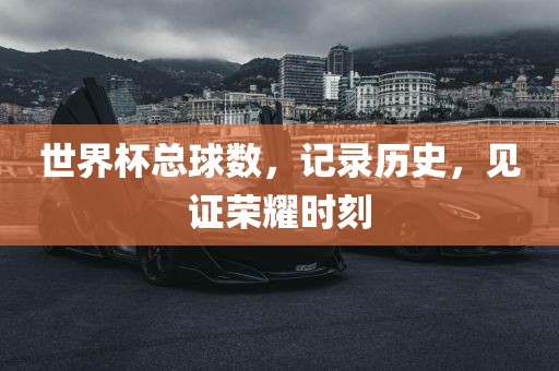 世界杯总球数，记录历史，见证荣耀时刻