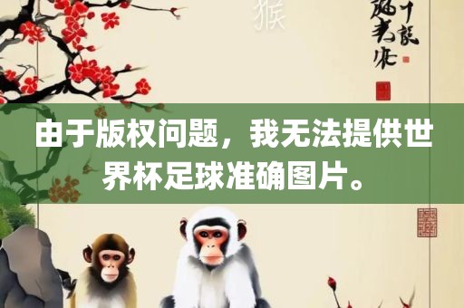 由于版权问题，我无法提供世界杯足球准确图片。眉山市正发家政服务有限公司