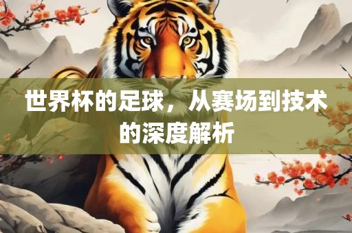 世界杯的足球，从赛场到技术的深度解析