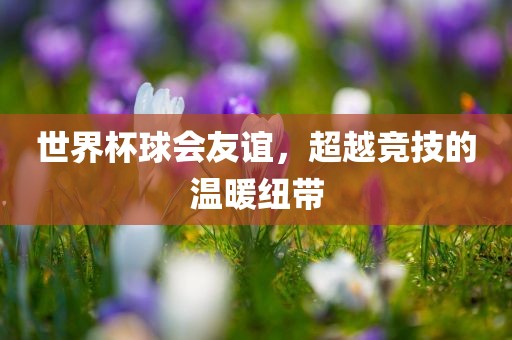 世界杯球会友谊，超越竞技的温暖纽带