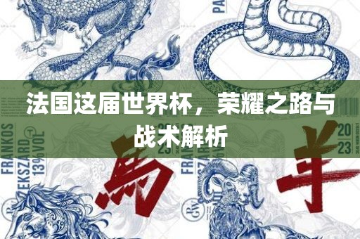 法国这届世界杯，荣耀之路与战术解析