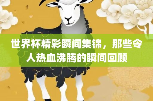 世界杯精彩瞬间集锦，那些令人热血沸腾的瞬间回顾眉山市正发家政服务有限公司