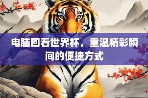 电脑回看世界杯，重温精彩瞬间的便捷方式