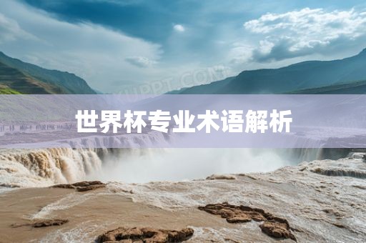世界杯专业术语解析
