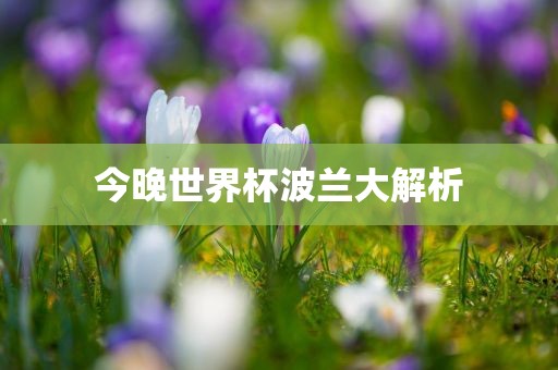 今晚世界杯波兰大解析