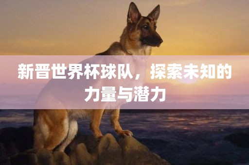 新晋世界杯球队，探索未知的力量与潜力
