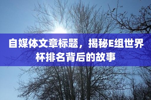 自媒体文章标题，揭秘E组世界杯排名背后的故事