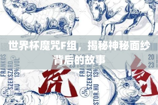 世界杯魔咒F组，揭秘神秘面纱背后的故事