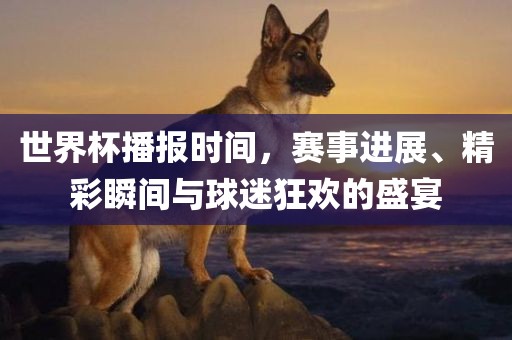 世界杯播报时间，赛事进展、精彩瞬间与球迷狂欢的盛宴