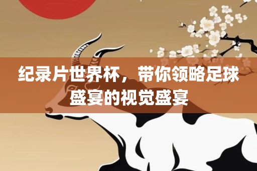纪录片世界杯，带你领略足球盛宴的视觉盛宴