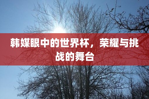 韩媒眼中的世界杯，荣耀与挑战的舞台眉山市正发家政服务有限公司
