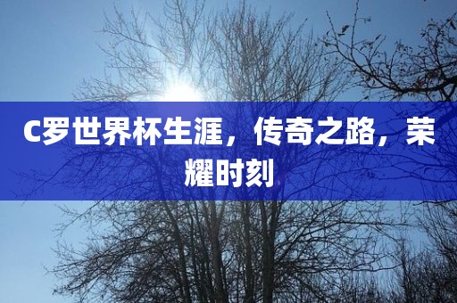 眉山市正发家政服务有限公司C罗世界杯生涯，传奇之路，荣耀时刻