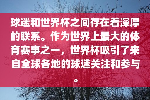 球迷和世界杯之间存在着深厚的联系。作为世界上最大的体育赛事之一，世界杯吸引了来自全球各地的球迷关注和参与。
