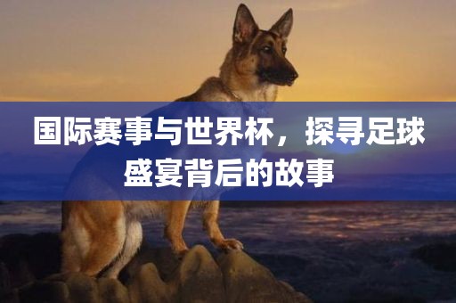 国际赛事与世界杯，探寻足球盛宴背后的故事