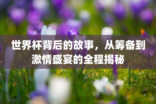 世界杯背后的故事，从筹备到激情盛宴的全程揭秘眉山市正发家政服务有限公司
