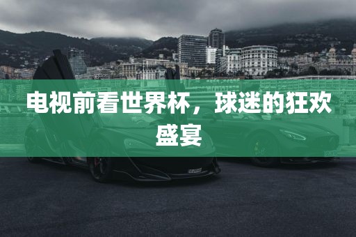 电视前看世界杯，球迷的狂欢盛宴
