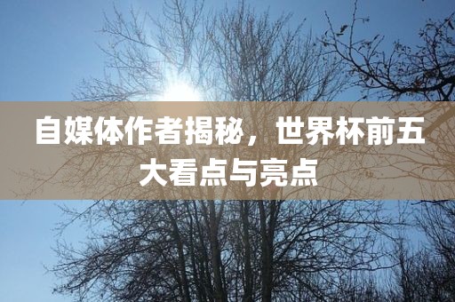 自媒体作者揭秘，世界杯前五大看点与亮点