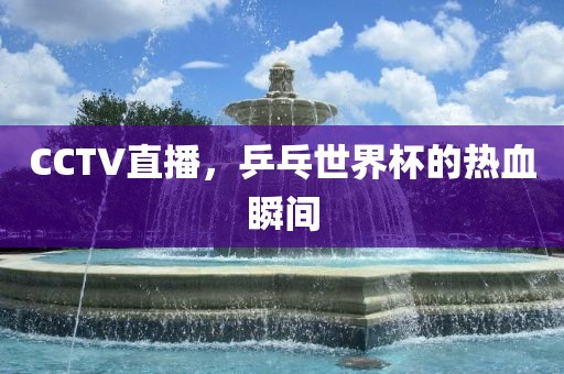 CCTV直播，乒乓世界杯的热血瞬间