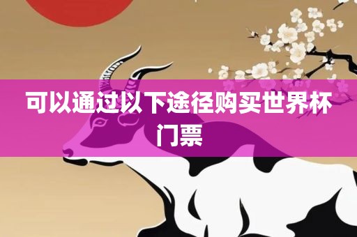 可以通过以下途径购买世界杯门票