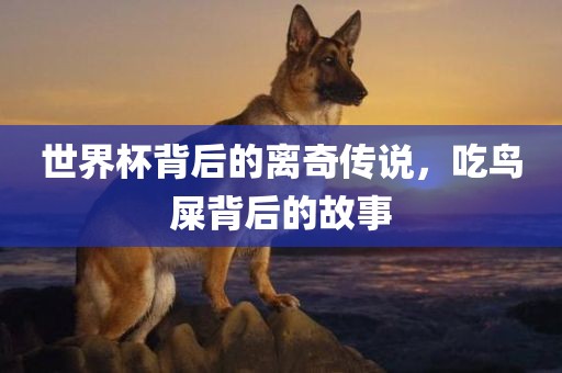 世界杯背后的离奇传说，吃鸟屎背后的故事