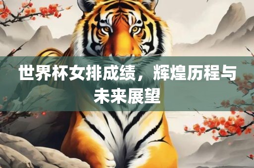 世界杯女排成绩，辉煌历程与未来展望