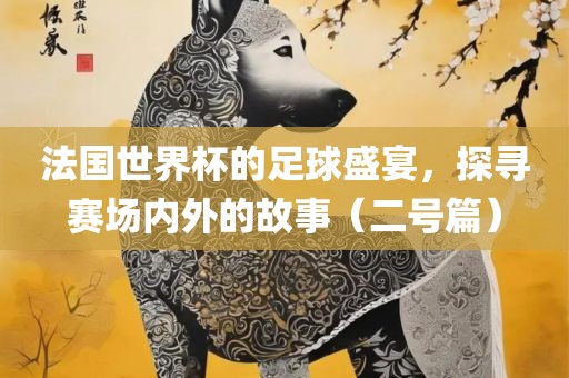 法国世界杯的足球盛宴，探寻赛场内外的故事（二号篇）