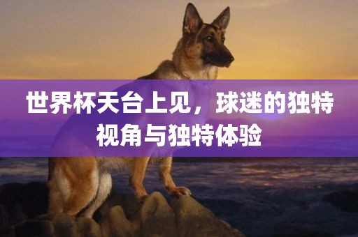 世界杯天台上见，球迷的独特视角与独特体验