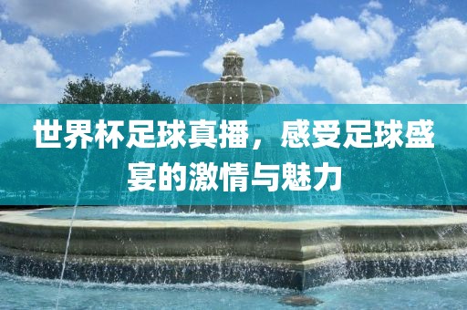 世界杯足球真播，感受足球盛宴的激情与魅力