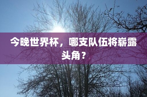 今晚世界杯，哪支队伍将崭露头角？