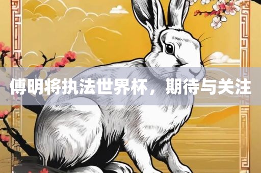 傅明将执法世界杯，期待与关注