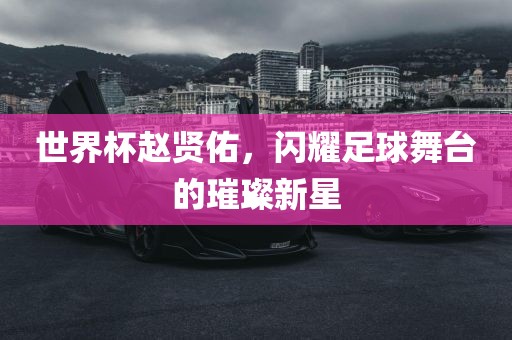 世界杯赵贤佑，闪耀足球舞台的璀璨新星眉山市正发家政服务有限公司