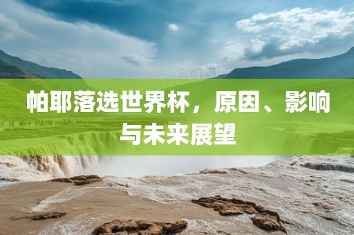 帕耶落选世界杯，原因、影响与未来展望