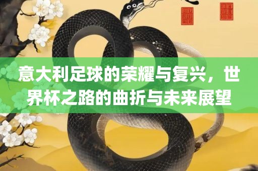 意大利足球的荣耀与复兴，世界杯之路的曲折与未来展望眉山市正发家政服务有限公司