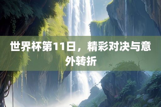 世界杯第11日，精彩对决与意外转折