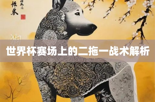 世界杯赛场上的二拖一战术解析