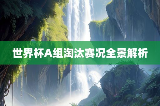 全景解析