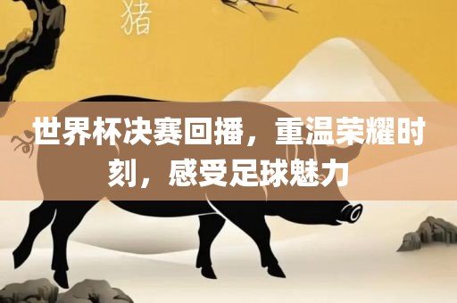 世界杯决赛回播，重温荣耀时刻，感受足球魅力