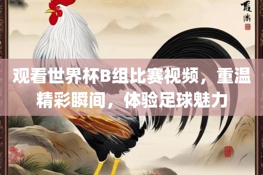 观看世界杯B组比赛视频，重温精彩瞬间，体验足球魅力