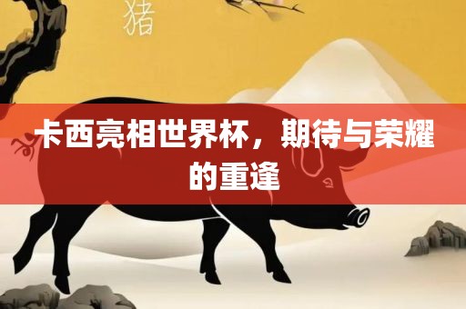 卡西亮相世界杯，期待与荣耀的重逢