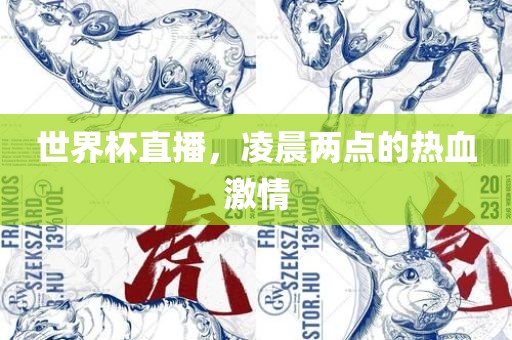 世界杯直播，凌晨两点的热血激情